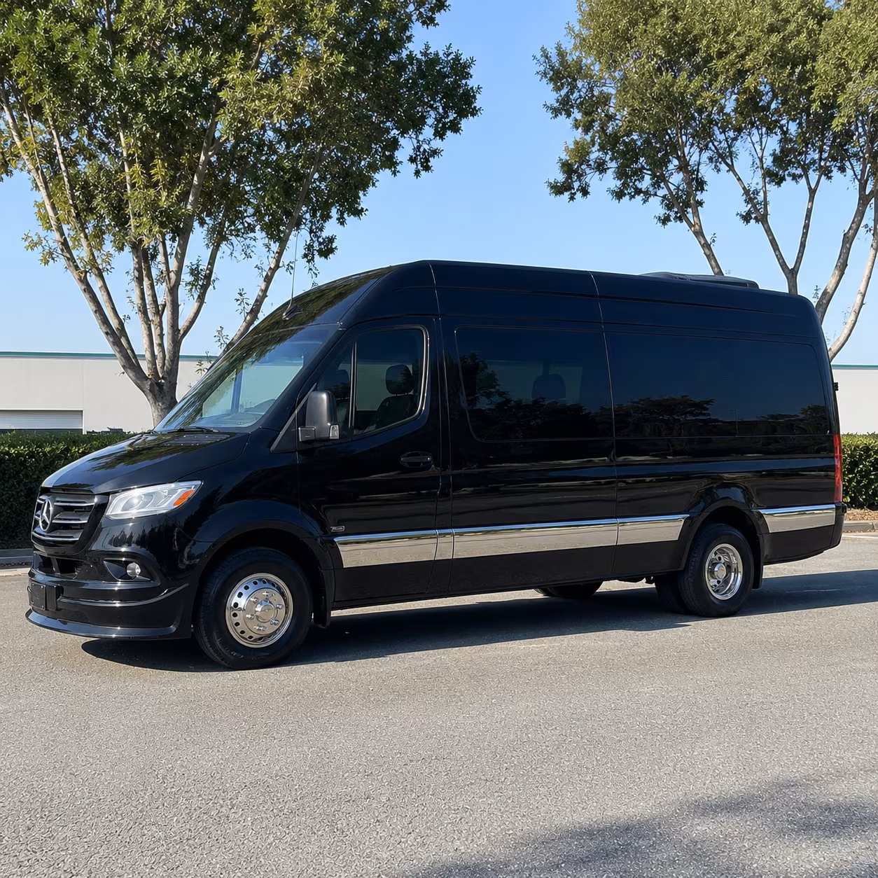 sprinter vans and minibuses for executive convention transfers in miami